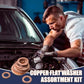 📀100/200 PCS Copper Flat Washer Assortment Kit（50% OFF）