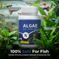 Fish Tank Algae Remover Tablets for Clear Water