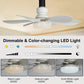 🔥50%OFF🎁2-IN-1 PORTABLE CEILING FAN & LIGHT with Remote Control