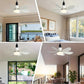 🔥50%OFF🎁2-IN-1 PORTABLE CEILING FAN & LIGHT with Remote Control
