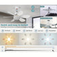 🔥50%OFF🎁2-IN-1 PORTABLE CEILING FAN & LIGHT with Remote Control