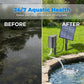 ⏳Time-Limited Special⏰Solar Pond Aerator with Air Pump – Solar Powered, High-Efficiency Panel & Easy Installation – Promotes Healthy Fish & Clear Water 🐟