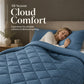 3-Piece Quilted Comforter Set with Shams