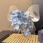 🦋 LIMITED-TIME 50% OFF! 💐 Transparent Butterfly Vase – Lightweight, Elegant, Gift-Ready ✨